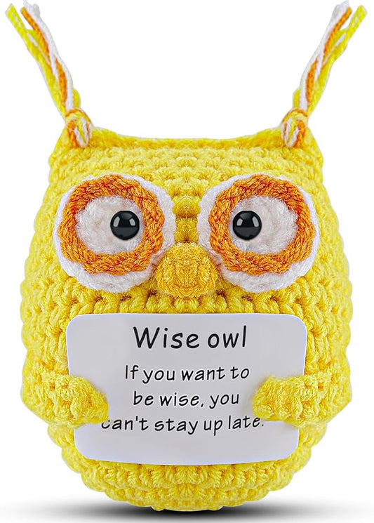 Hoedia Handmade Emotional Pickle Gift, Emotional Cucumber Crochet Doll Inspirational Gifts with Cards, Cute Knitted Funny Support Pickle Friend Birthday (Wise Owl)