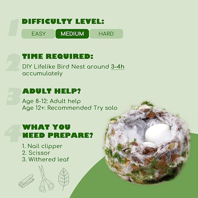 CHARTEKS Bird Nest Craft Kit with LED String Lights - DIY Nature Arts and Crafts STEM Project for Kids & Adults, Creative Home Decor Gift for Boys Girls Ages 8-12