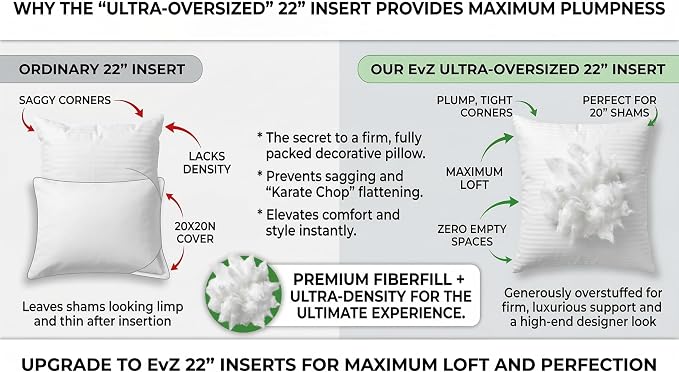 EvZ Premium 22x22 Pillow Insert (Single Pack) - Oversized Square Throw Pillow Form - Ultra-Dense Polyester Stuffer - Perfectly Fits 22x22 Covers with No Saggy Corners