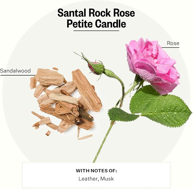 Apotheke Luxury Scented Candles for Home, Santal Rock Rose - Petite Aromatherapy Jar Candle with Soy Wax Blend