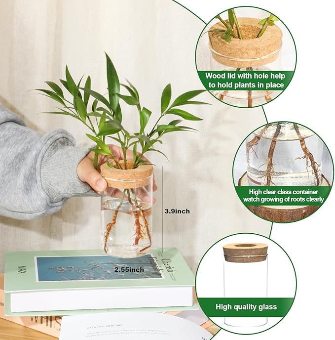 Separated Desktop Glass Flower Vases - Ideal Plants Propagation Stations for Living Room, Bedroom Decoration,Home Decor (2)