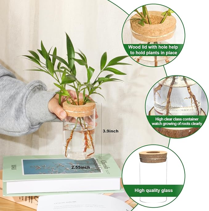 Separated Desktop Glass Flower Vases - Ideal Plants Propagation Stations for Living Room, Bedroom Decoration,Home Decor (4)