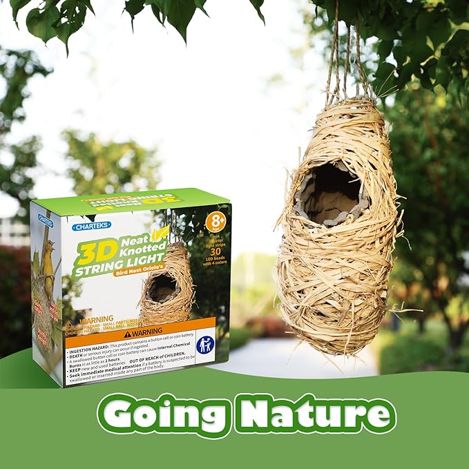 CHARTEKS Bird Nest Craft Kit with LED String Lights - DIY Nature Arts and Crafts STEM Project for Kids & Adults, Creative Home Decor Gift for Boys Girls Ages 8-12