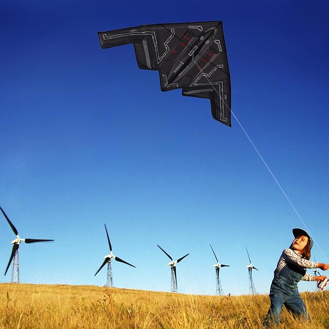 Hengda Kite Airplane Kite,for Kids and Adults,Plane Kite Easy to Fly,Excellent Fabric and Structure Design,The Pictures are Beautiful in high Definition,Suitable for Beginners Black