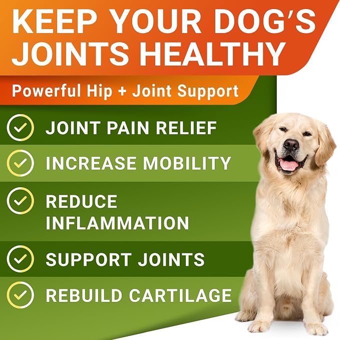 Large Breed Hemp + Glucosamine Dog Joint Supplement - Hemp Chews for Dogs Hip Joint Pain Relief - Omega 3, Chondroitin, MSM - Advanced Mobility Hemp Oil Treats for Large Dogs - Made in USA - 240 Ct