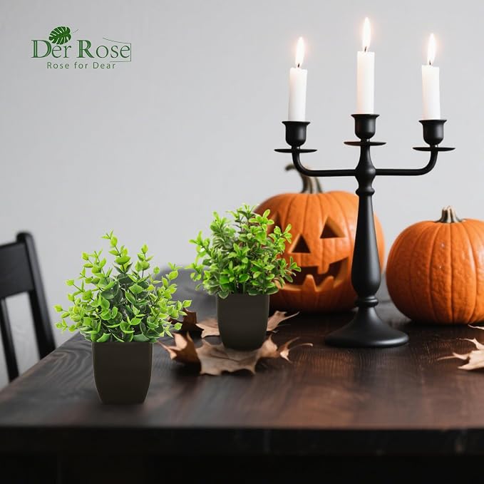 Der Rose 4 Pack Black Bathroom Decor Small Fake Plants, Halloween Decor | Realistic faux plants, gothic black accent style, for shelf desk office farmhouse table and Halloween fall home decor