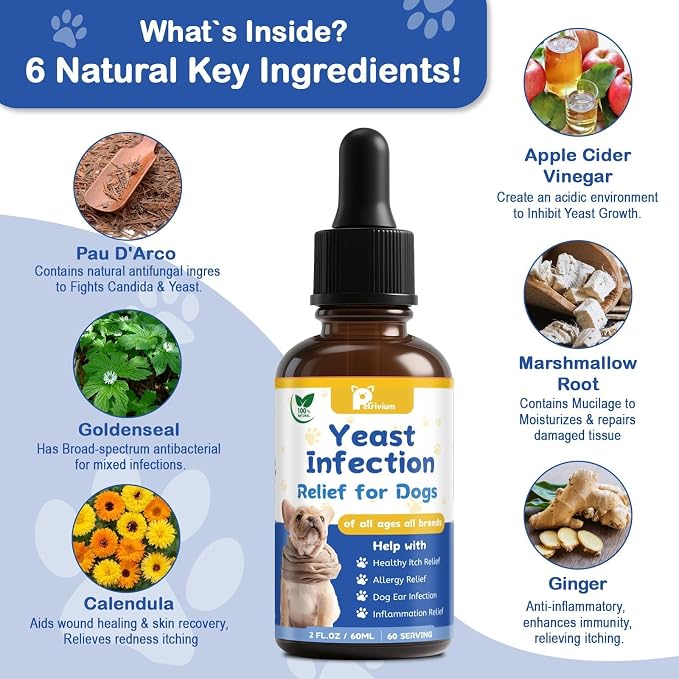 Yeast Infection Treatment for Dog, Natural Dog Yeast Infection Relief for Itchy Skin & Ear - Allergy & Paw Itching, Soothes Irritation & Reduces Inflammation Herbal Dog Supplement Drops 2 Packs