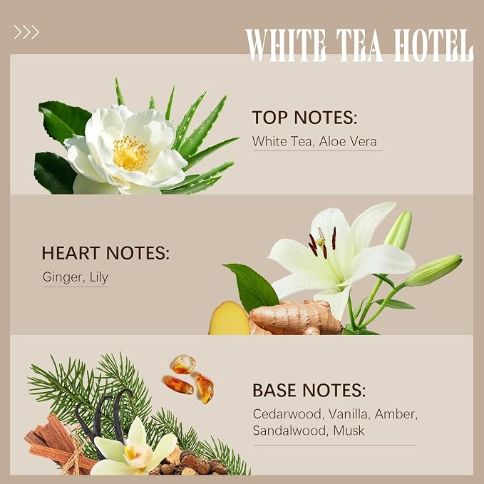 Hotel Collection Diffuser Oil Inspired by W Hotel, White Tea Essential Oil for Diffuser, Fragrance Oil 100 ml 3.38 Fl Oz