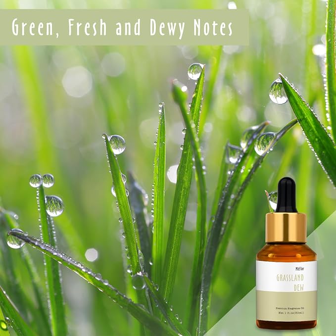 Grassland Dew Fragrance Oil, MitFlor Hotel Diffuser Scents for Home & Office, Premium Soap & Candle Making Scent, Aromatherapy Essential Oils for Home Fragrance, 30ml