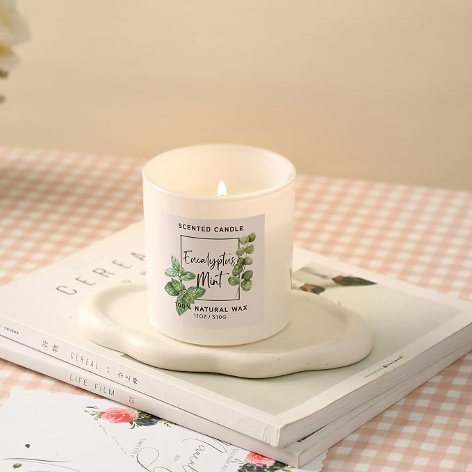 Eucalyptus & Mint Scented Candle,White Summer Candles for Home Scented,11oz | Aromatherapy Candle,Stress Relief Candle,Summer Gift for Women Men,Natural Soy Wax Candle,