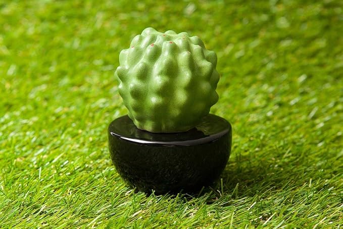 Frank Cactus, Non-Electric Ceramic Diffusers for Essential Oils and Aromatherapy Fragrance, White Ceramic Diffusers in Car or Desk Office Decor and Small Bathroom at Home, Black vase