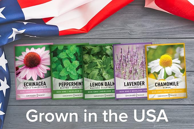 Gardeners Basics, Herbal Tea Seeds for Planting Indoors and Outdoors 5 Variety Packets Echinacea, Peppermint, Lavender, Chamomile and Lemon Balm - Great for Kitchen Herb Garden Heirloom Herb Seeds