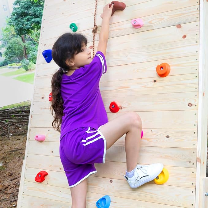 25 Rock Climbing Holds with 6.56Ft Knotted Climbing Rope, Kids Climbing Holds for Indoor Outdoor Play Set with Mounting Hardware (25 Single Hole Climbing Holds with Knotted Rope)