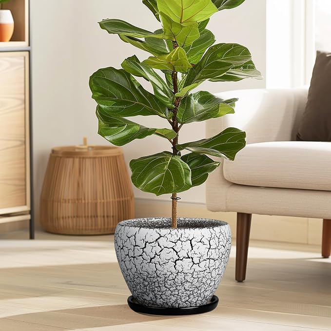 Ceramicfor Ceramic Plant Pot 8 Inch - Ceramic Planter for Indoor Plants, Round Flower Pot with Drainage Hole and Saucer, Glaze White and Black