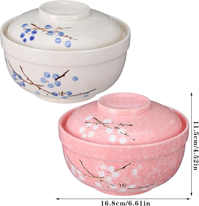 MAQUITA 2 Pack 27oz Ceramic Ramen Bowl with Lid Microwavable Japanese Korean Soup Bowl Clay Pot Dinnerware for Noodle Rice Porridge