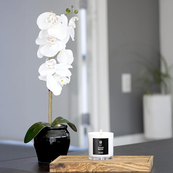 Lulu Candles | Sexy Gal | Luxury Scented Soy Jar Candle | Hand Poured in The USA | Highly Scented & Long Lasting (9 Oz.)