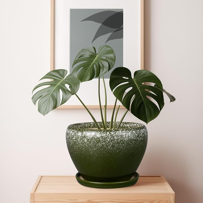 Ceramicfor 10 Inch Planter Pot - Ceramic Pots for Plants with Drainage Hole and Saucer, Round Large Flower Pot for Indoor Plants, Dark Green