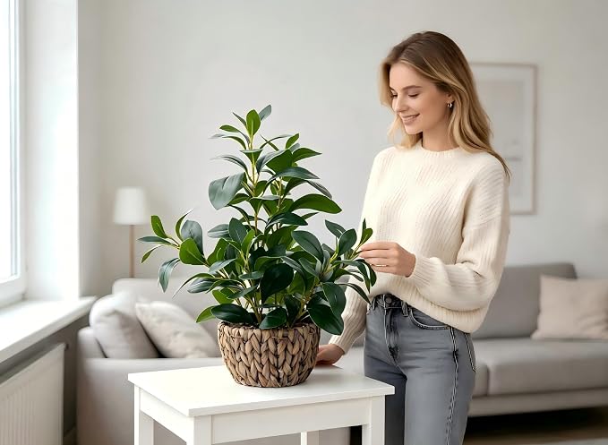 AlphaAcc Fake Indoor Ficus Plant in Rattan Basket Planter Home Office Decor | Realistic 18.8“ faux ficus plant in woven rattan basket with pebbles ideal home living room office table desk shelf decor
