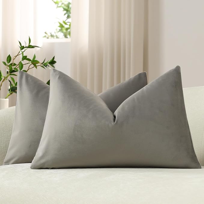 Lumbar Pillow Covers 12x20 Light-Grey: Pack of 2 Cozy Soft Velvet Rectangular Modern Luxury Decorative Throw Pillow Cases for Sofa Couch Living Room Bed Home Decor