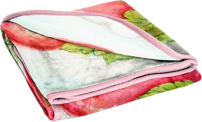 Jay Franco Kids Plush Throw Blanket – Soft & Comfy Throw for Couch or Bed – Cozy Home Décor for Living Room & Bedroom, Multi - Strawberry Shortcake, 46x60 - Throw Blanket