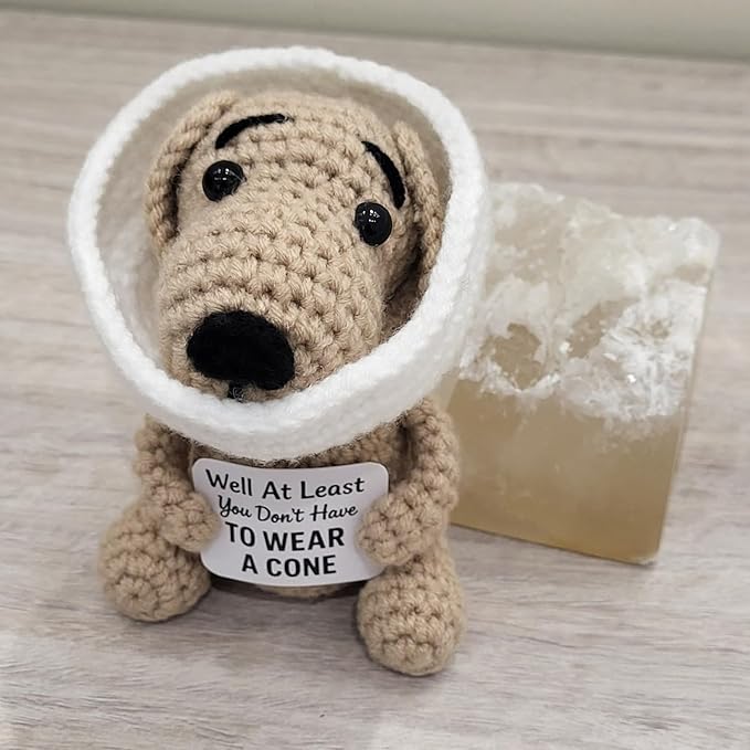 Well at Least You Don’t Have to Wear a Cone – Funny and Thoughtful Crochet Dog Gift – 4.5" Handmade Plush for Surgery Recovery, Vasectomy Humor, or Quirky Retirement Gift
