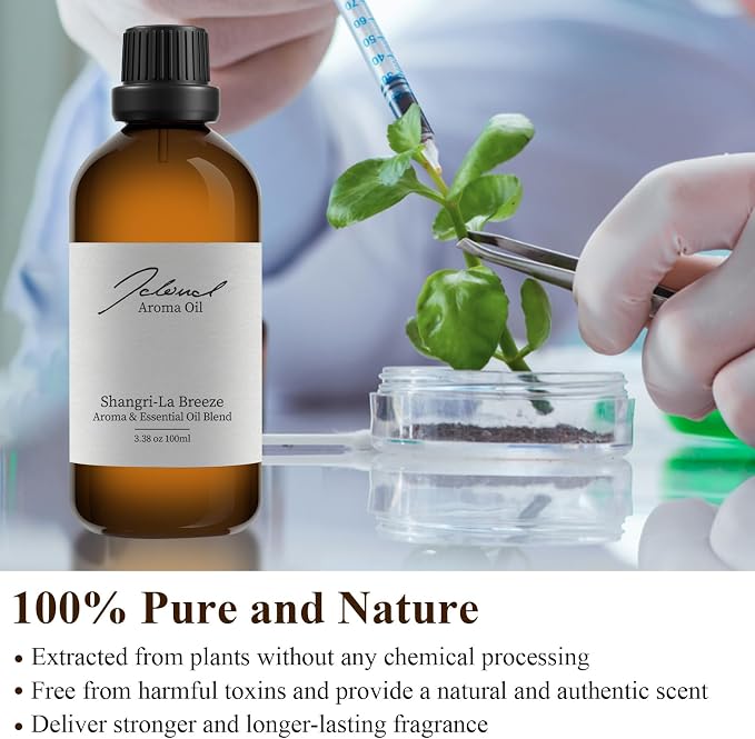 JCLOUD Shangri-La Breeze Essential Oil Inspired by Shangri-La Hotel | Hotel Scent - Pure Aromatherapy Diffuser Oil with Cedarwood and Sandalwood, Home Luxury & Hotel Scents for Diffuser - 100mL