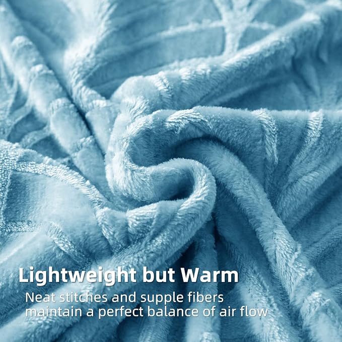 Whale Flotilla Soft Flannel Fleece Throw Blanket for Couch, Stone Blue | Cozy Lightweight Breathable Velvet Sofa Throws, Plush Fluffy Vintage Pattern Decorative Blanket for Bed, All Season, 50"x60"