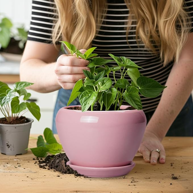 Ceramicfor 6 Inch Plant Pot - Ceramic Pot for Indoor Plants, Glaze Modern Decorative Round Ceramic Planter with Drainage Hole and Saucer, Plant Lover Gifts, Home Garden Room Office Decor, Pink