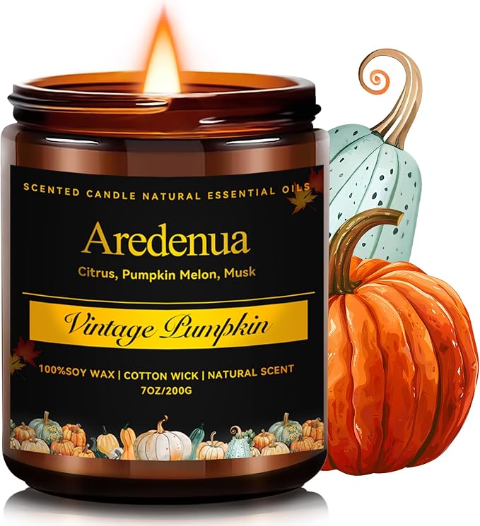 Vintage Pumpkin Candle – Warm Spiced Holiday Candles, Soy Candles for Home, Cozy Christmas Scent with Pumpkin, Cinnamon & Vanilla – Winter Aromatic Candle Gift for Women & Men