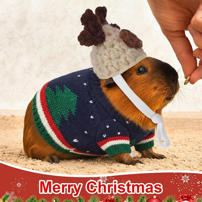 10 Pcs Guinea Pig Clothes, 5 Guinea Pig Costume Outfit, 5 Mini Hat with Adjustable Strap Small Animal Warm Vest Sweater Cozy Hand Knitted Hat for Hamster Bunny (Modern)