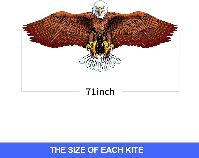 Kites for Kids and Adults, Easy to Fly for Beach, Single Line Kite Set for Beginners