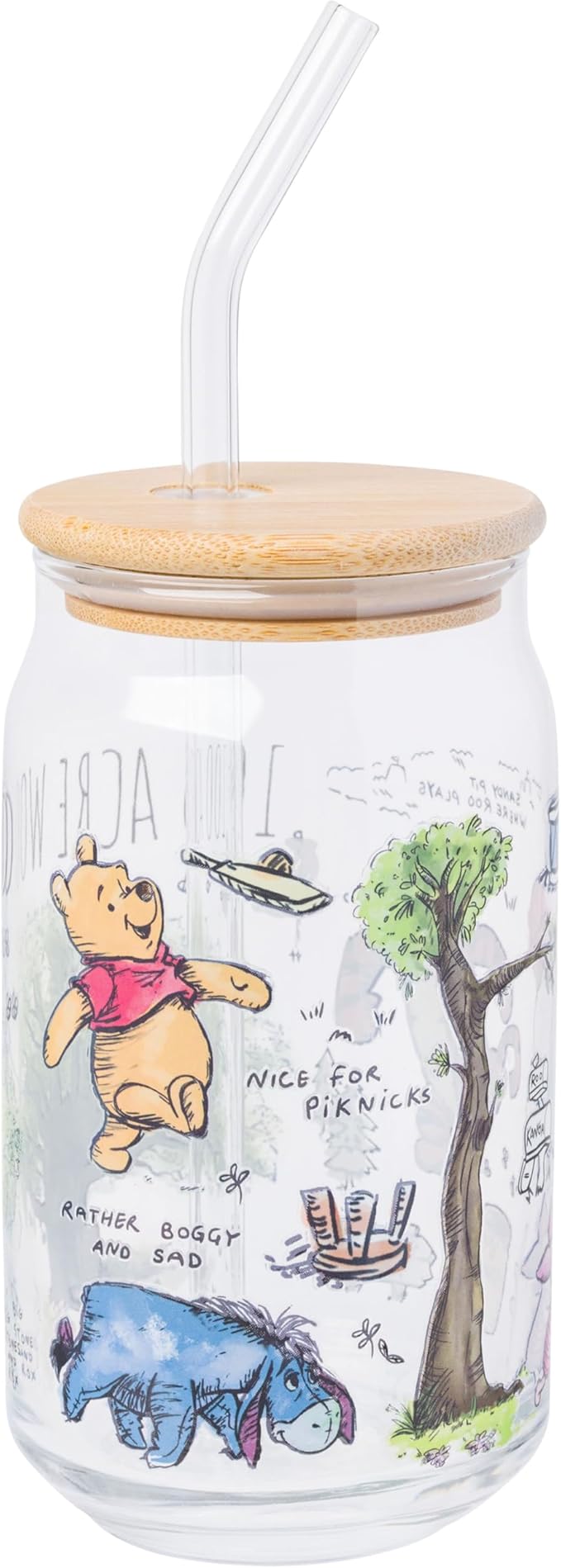 Silver Buffalo Disney Winnie the Pooh 100 Acre Wood Glass Tumbler with Bamboo Lid and Straw Featuring Winnie the Pooh and Eeyore, 16 Ounces