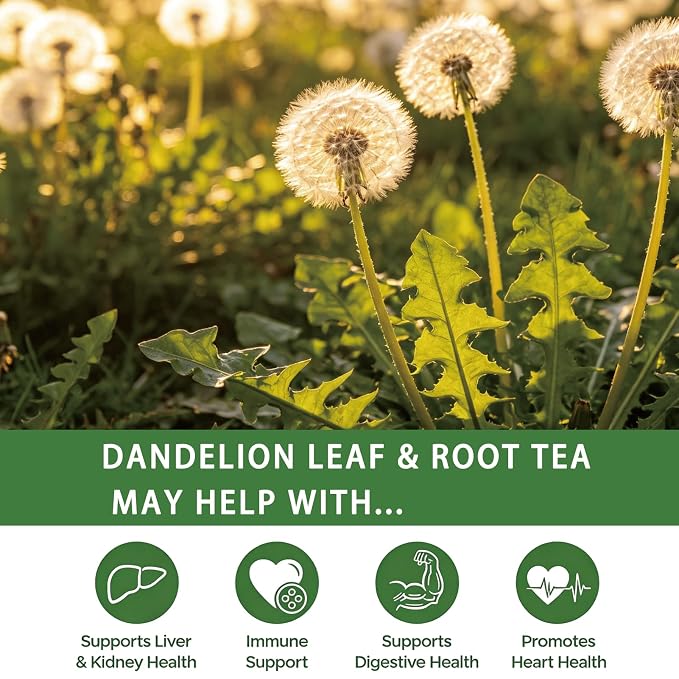 Samcci - Dandelion Leaf & Root Tea bags, 50 Teabags, Natural Roasted Dandelion Herbal Tea for Liver & Kidney Health, Support Digestion & Enhance Immune System, Caffeine Free