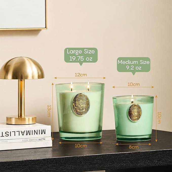 M&SENSE Large Two-Wick Clean Soy Candle | Fresh Linen & Neon Blue | 19.8 oz, 120H Burn Time | Luxury Scented Candle for Relaxation, Gifting, Home Décor | Ideal for Bedroom, Office, Party Ambiance