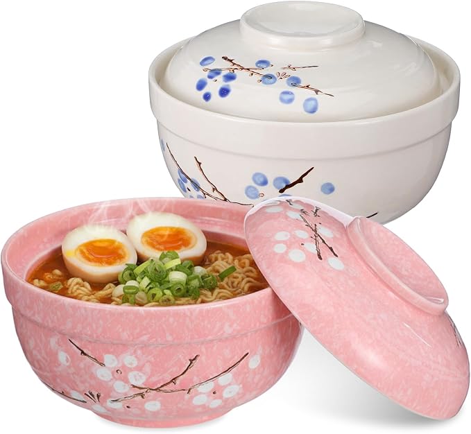 MAQUITA 2 Pack 27oz Ceramic Ramen Bowl with Lid Microwavable Japanese Korean Soup Bowl Clay Pot Dinnerware for Noodle Rice Porridge