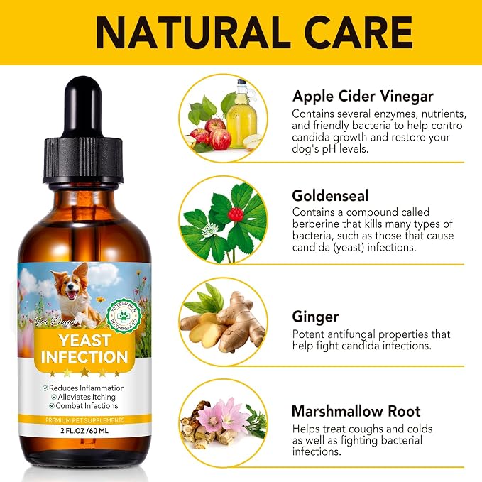 Yeast Infection Treatment for Dogs, Natural Dog Yeast Infection Relief for Itchy Skin & Ear, with Multivitamins Probiotics, Bacon Flavor Liquid Supplement for All Breeds, 2 FL OZ ﻿