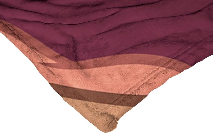 Northwest Disney 100 Silk Touch Throw Blanket, 50" x 60", Ohana