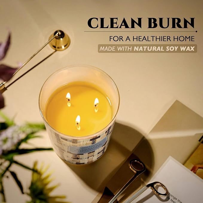 HomeLights Scented Candles for Women & Men, 34oz Candle Jars Aromatherapy 3-Wick Candle, Ideal for Rustic Modern Home Decor and Gifts, Blueberry Cheesecake