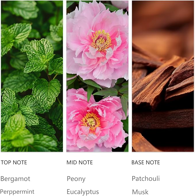 Eucalyptus Mint Revive Diffuser Scent Oil 120ML Purifying Bergamot & Patchouli for Waterless Diffusers, Spa-Grade Breathe Easy Aromatherapy for Home and Welness