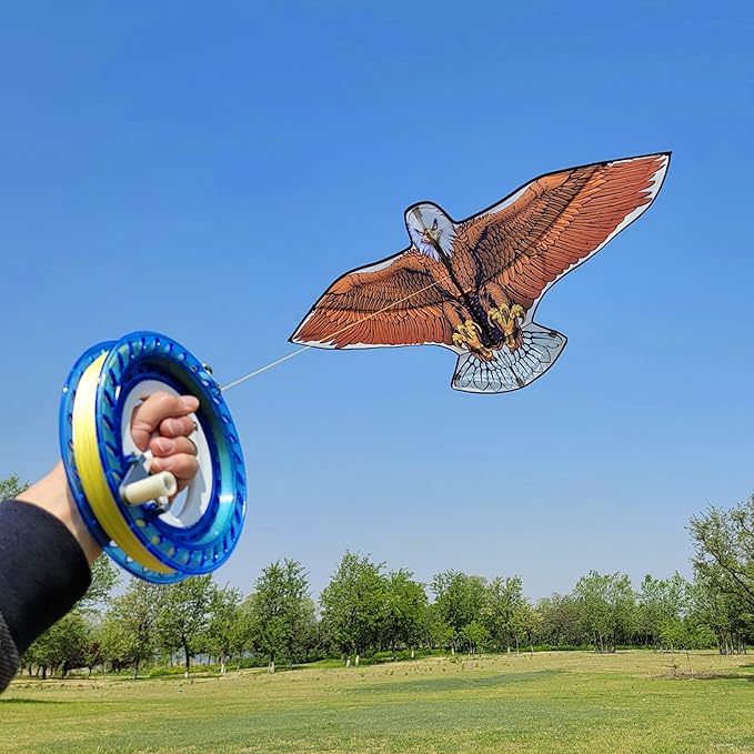 Kites for Kids and Adults, Easy to Fly for Beach, Single Line Kite Set for Beginners