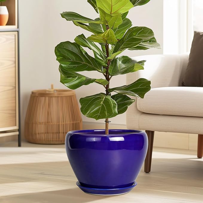 Ceramicfor Ceramic Planter 10 Inch - Indoor Plant Pot for Plants with Drainage Hole and Saucer Large Planter Round Outdoor Flower Pot Mid-Century for House Patio Decor Blue