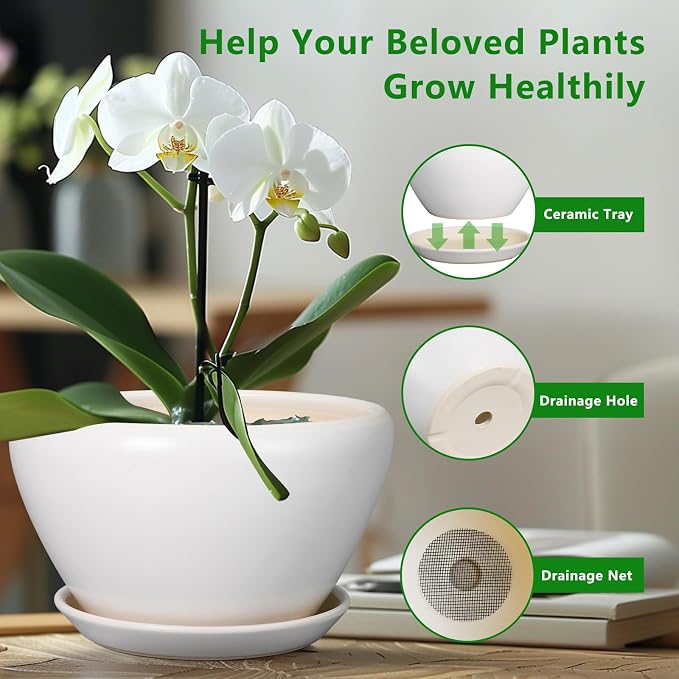 Ceramicfor Planter for Indoor Plants 13 Inch - Ceramic Plant Pot with Drainage Hole and Saucer Decorative Round Large Planter Pot for Plants Outdoor Flower Pot for Room Decor White