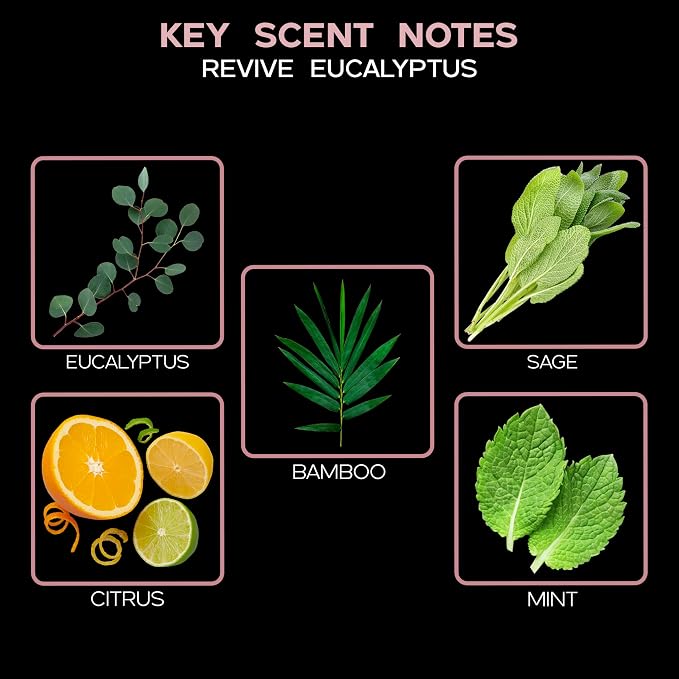 Eucalyptus Reed Diffuser Set for Home, Revive Fresh Eucalyptus, Sage, Citrus & Mint Scent Diffuser with Sticks for Bathroom Shelf Decor Accessories, Top Aromatherapy Gift for Women