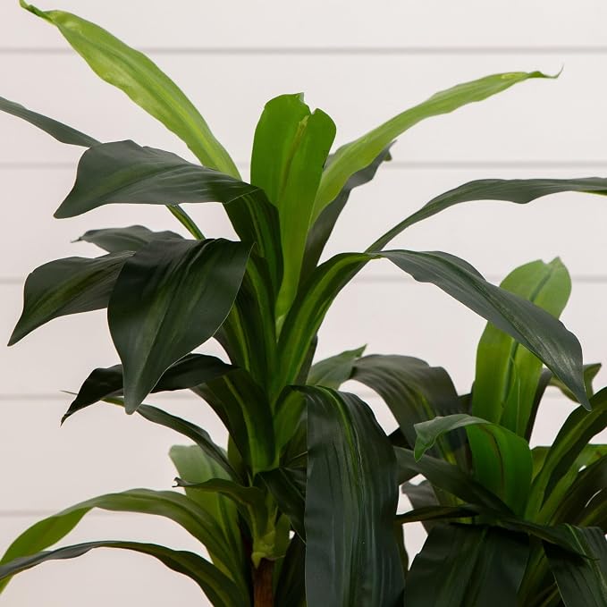 Nearly Natural 48 in Artificial Dracaena Real-Touch Plant with Pot | Multi-Tonal Trunks, Large Indoor Faux Tree, Maintenance-Free, Living Room and Office Decor