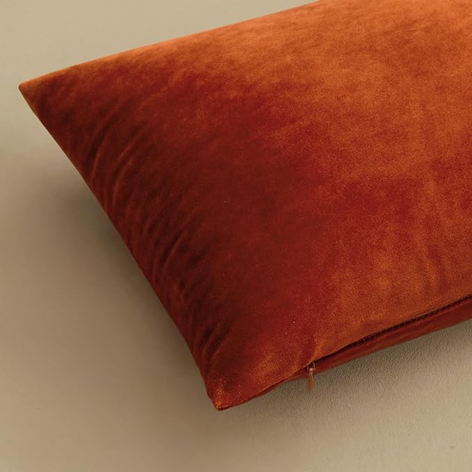 MIULEE Velvet Fall Throw Pillow Covers 20x20 Inch Pack of 2 Burnt Orange | Soft Solid Decorative Pillow Covers, Modern Luxury Home Decor, for Couch Chair Sofa Bedroom Livingroom