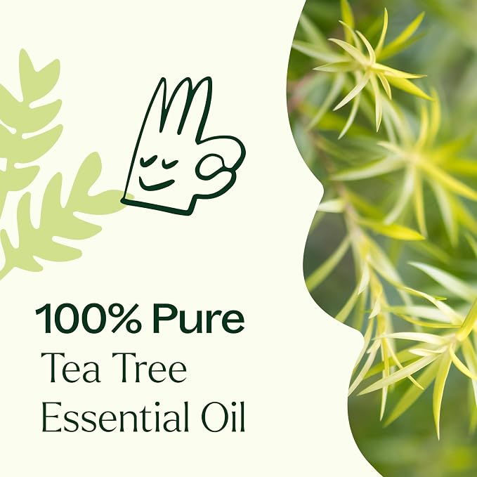 Plant Therapy Tea Tree Essential Oil 10mL (1/3 oz) (Pack of 2), 100% Pure, Pre-Diluted Roll-On, Natural Aromatherapy for Skin Blemishes and Immune Support