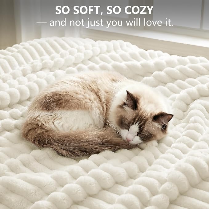 Cream White Throw Blanket for Couch & Bed, 50 x 60 Inch | 300GSM Ribbed Fleece Blanket, Soft, Cozy & Lightweight, OEKO-TEX Certified, All-Season Use for Travel, Dorm & Home Decor