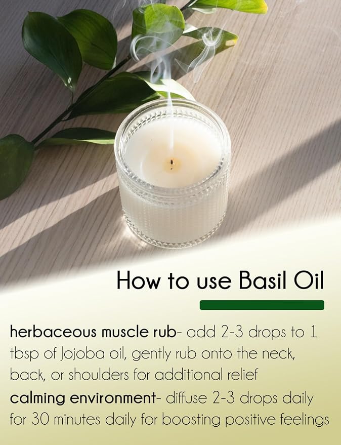 Basil Essential Oil 1 fl oz - (100% Pure & Uncut) - GreenHealth
