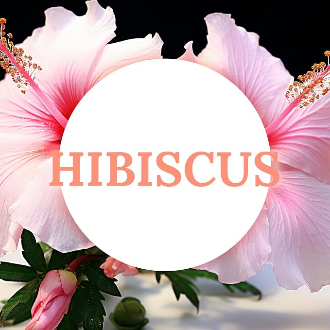 DEYBBY Natural Hibiscus Orchid Scented Soy Wax Tealight Candles Bulk, Aromatherapy Luxury Tea Candle Set of 36-4 Hour Burning Great Gift