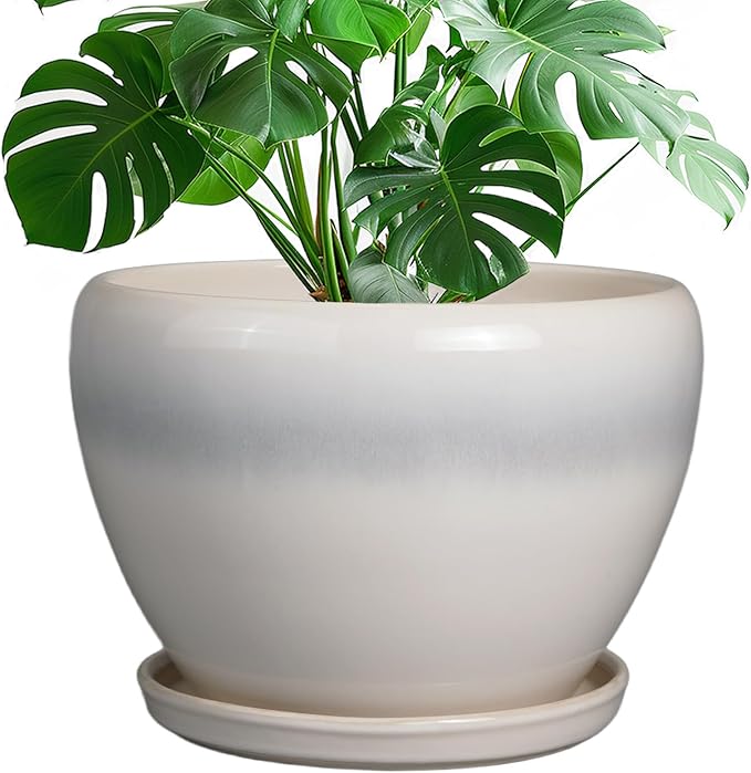 Ceramicfor 10 Inch Ceramic Planter Pot - Large Plant Pot with Drainage Hole and Saucer Round Flower Pot for Indoor Plants, White
